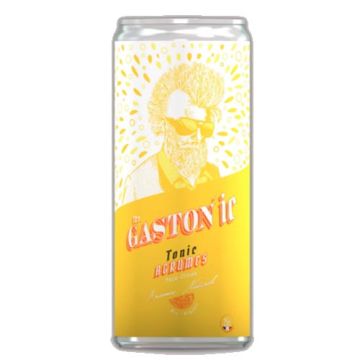 Mr Gaston Tonic Agrumes