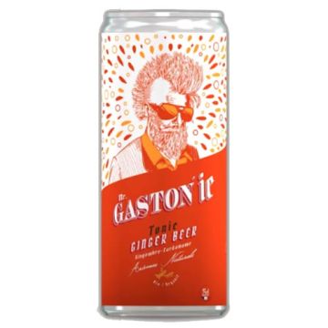 Mr Gaston Tonic Ginger Beer